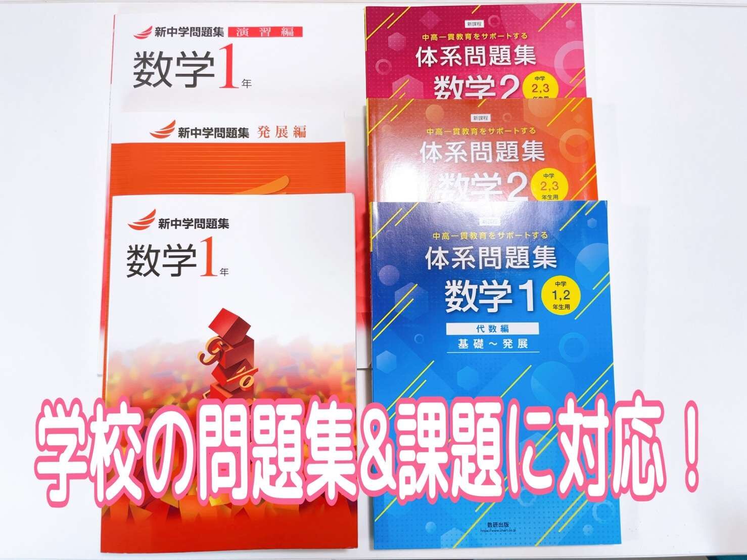 京都府立嵯峨野高等学校　学校紹介【江戸塾】